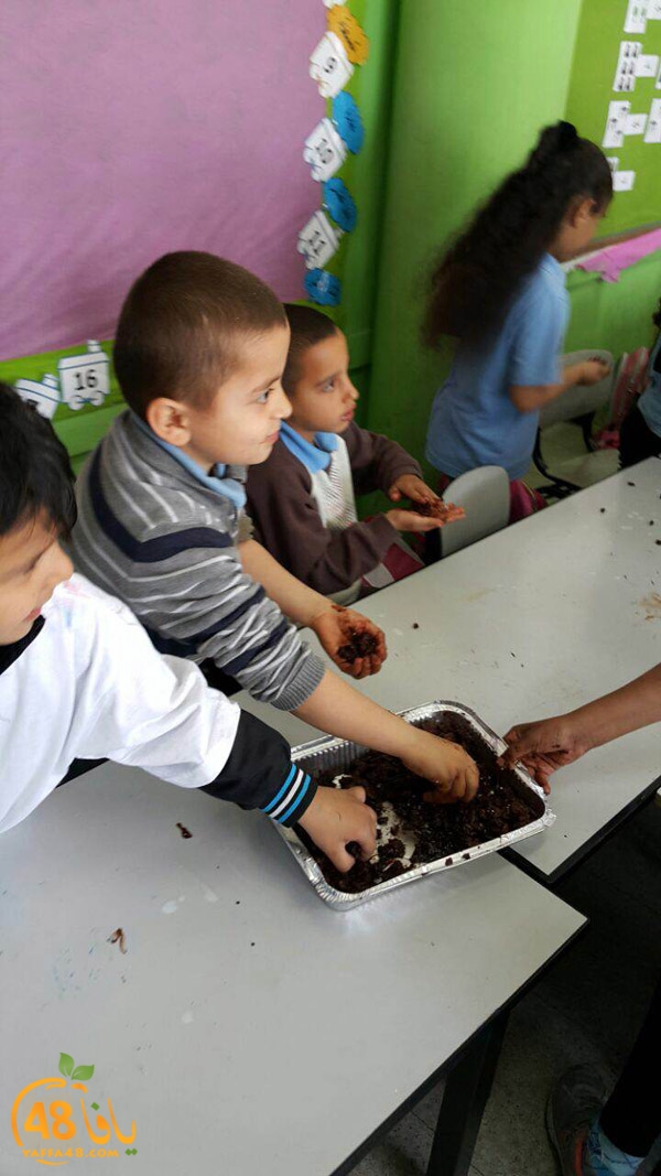 a3mal tayeba 7san3arafa (24).JPG